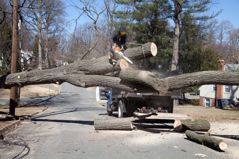 Emergency Tree Pruning