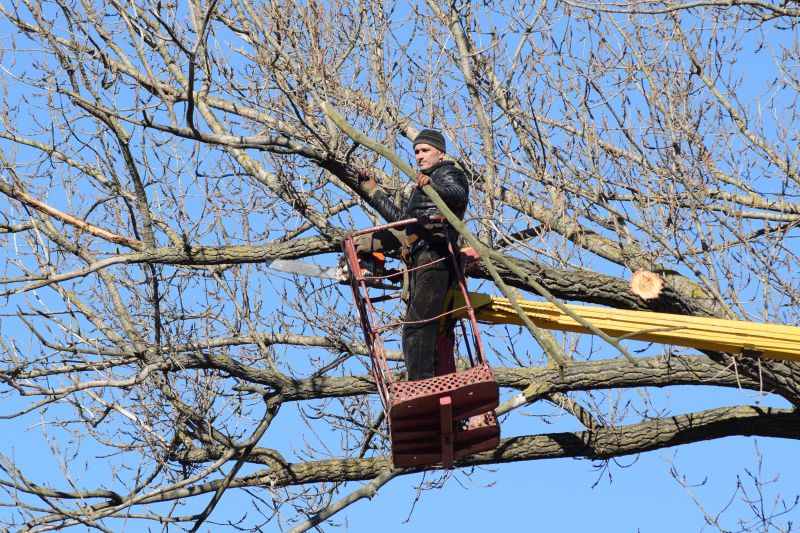 Emergency Tree Pruning