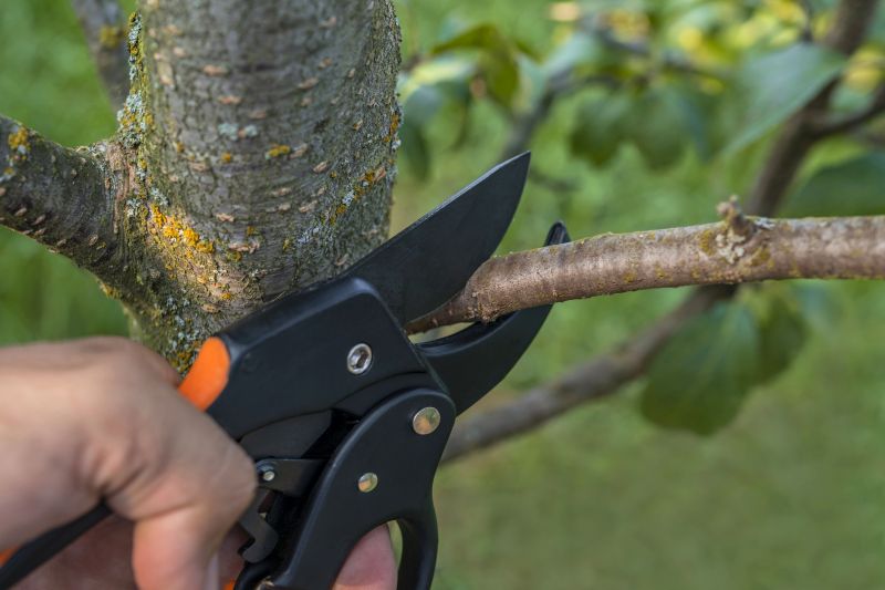 Emergency Tree Pruning
