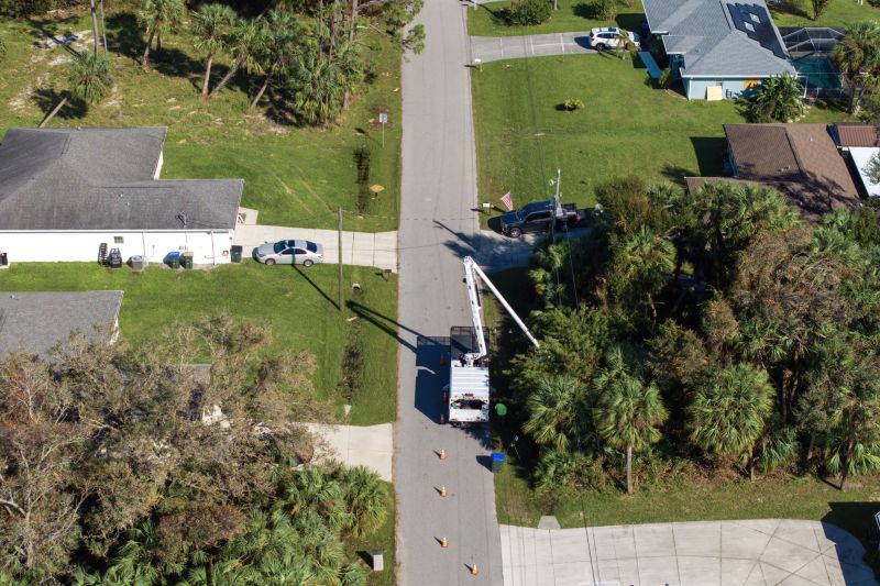 Emergency Tree Pruning