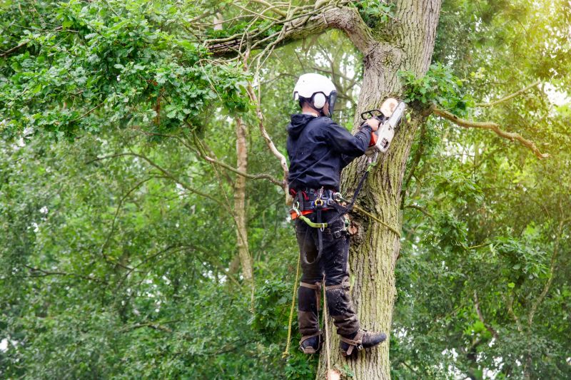 Emergency Tree Pruning