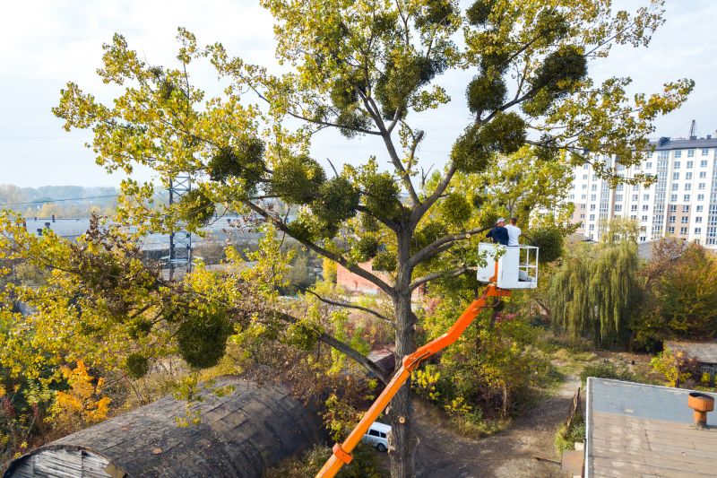 Emergency Tree Pruning